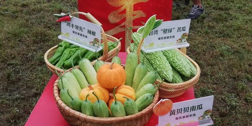 桐鄉(xiāng)十大市民最喜愛農(nóng)產(chǎn)品評(píng)選活動(dòng)火熱開啟，投票參與贏好禮！